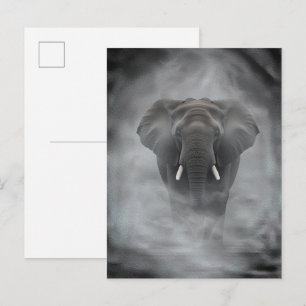 Carte Postale Éléphant d'Afrique dans le brouillard serein en im