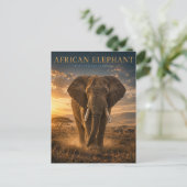 Carte Postale Éléphant d'Afrique Savane ANIMAUX (Debout devant)