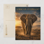 Carte Postale Éléphant d'Afrique Savane ANIMAUX (Devant / Derrière)
