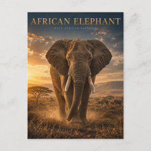 Carte Postale Éléphant d'Afrique Savane ANIMAUX