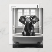 Carte Postale Eléphant dans le bain (Devant / Derrière)