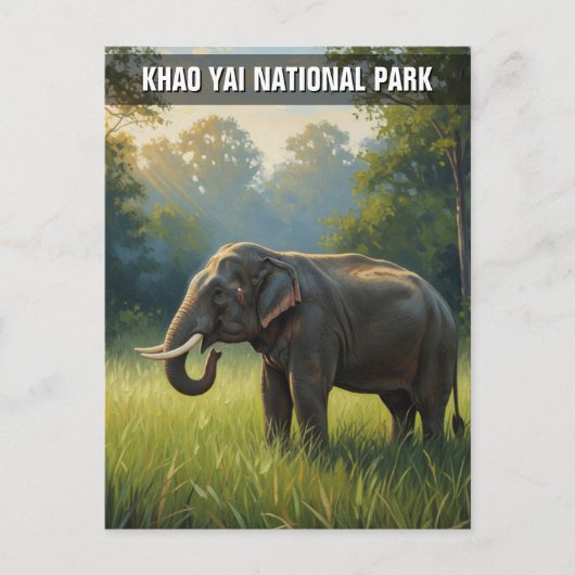 Carte Postale Elephant dans le parc national de Khao Yai Thaïlan (Devant)