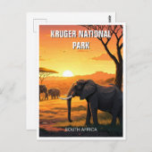 Carte Postale Elephant dans le parc national Kruger Afrique du S (Devant / Derrière)