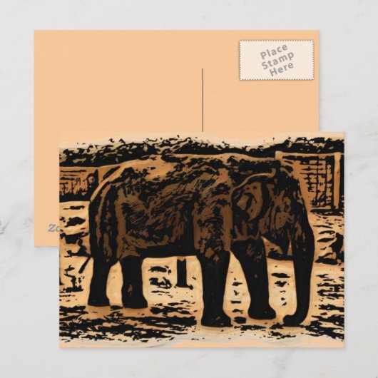 Carte postale Elephant deco (Devant / Derrière)