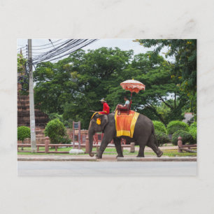 Carte Postale Elephant en Ayutthaya Thaïlande