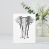 Carte Postale Eléphant en noir et blanc (Debout devant)
