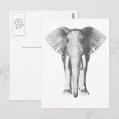 Carte Postale Eléphant en noir et blanc (Devant / Derrière)