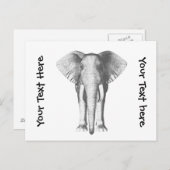 Carte Postale Eléphant en noir et blanc (Devant / Derrière)