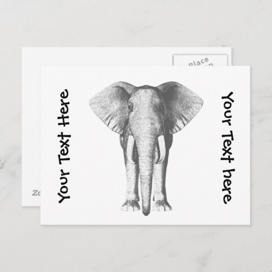 Carte Postale Eléphant en noir et blanc (Devant / Derrière)