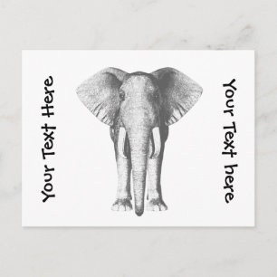 Carte Postale Eléphant en noir et blanc
