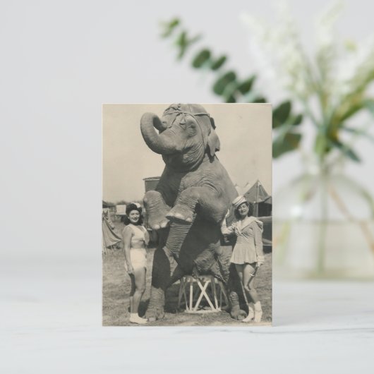 Carte Postale éléphant et 2 filles cirque (Debout devant)