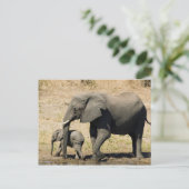 Carte Postale Éléphant et mère de bébé (Debout devant)