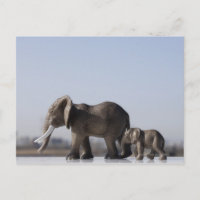 Elephant Famille arrière - plan ciel bleu