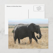 Carte Postale éléphant marche (Devant / Derrière)