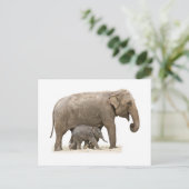 Carte Postale Eléphant mère et bébé (Debout devant)