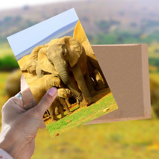 Carte postale Eléphant mère et veau