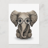 Carte Postale Eléphant mignon bébé avec lunettes de lecture Blan (Devant)