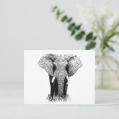 Carte Postale Eléphant noir et blanc (Debout devant)