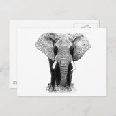 Carte Postale Eléphant noir et blanc (Devant / Derrière)