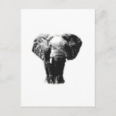 Carte Postale Eléphant Pop Art (Devant)
