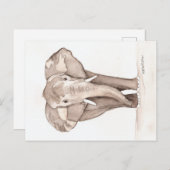 Carte Postale elephant postcard (Devant / Derrière)