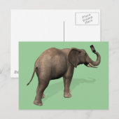 Carte Postale Elephant Prendre Un Selfie (Devant / Derrière)