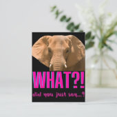Carte Postale Éléphant Qu'est-ce que vous venez de dire ? (Debout devant)
