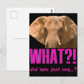 Carte Postale Éléphant Qu'est-ce que vous venez de dire ? (Devant / Derrière)