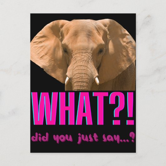 Carte Postale Éléphant Qu'est-ce que vous venez de dire ? (Devant)