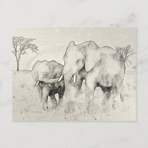 Carte postale Elephant Safari