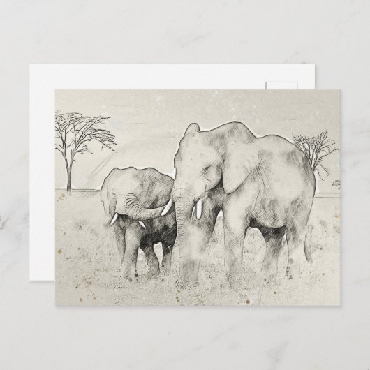 Carte postale Elephant Safari (Devant / Derrière)