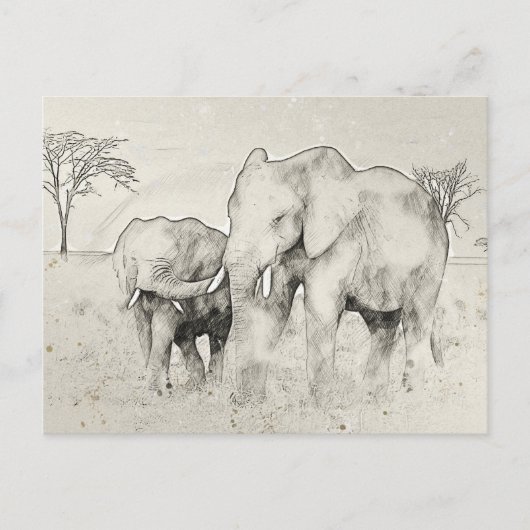 Carte postale Elephant Safari (Devant)