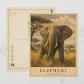 Carte Postale Éléphant Savane d'Afrique de l'Est VINTAGE (Devant / Derrière)