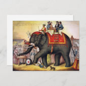 Carte Postale Éléphant vintage de cirque (Devant / Derrière)
