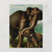 Carte Postale Éléphant vintage femelle avec son bébé (Devant)