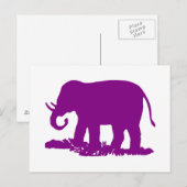 Carte Postale Éléphant Violet (Devant / Derrière)