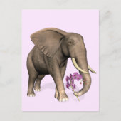 Carte Postale Elephant With Pink Orchid (Devant)