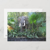 Carte postale éléphante (Devant / Derrière)