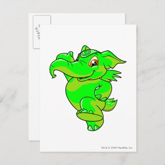 Carte Postale Eléphante (Devant / Derrière)