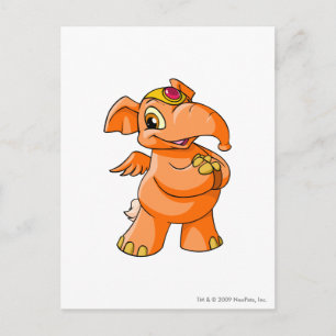 Carte Postale Elephante Orange