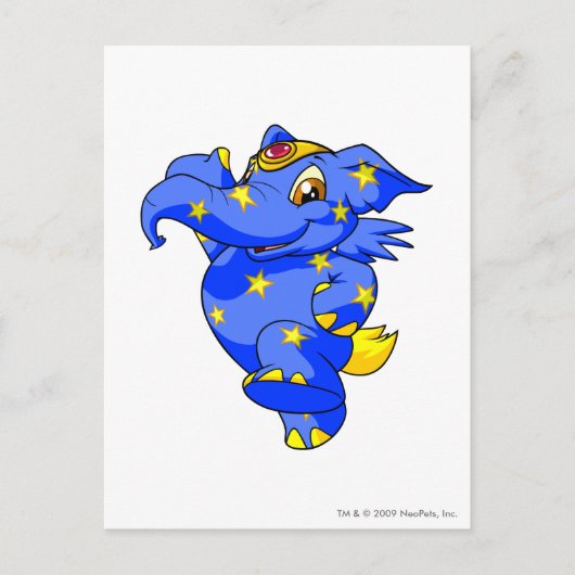 Carte Postale Elephante Starry (Devant)