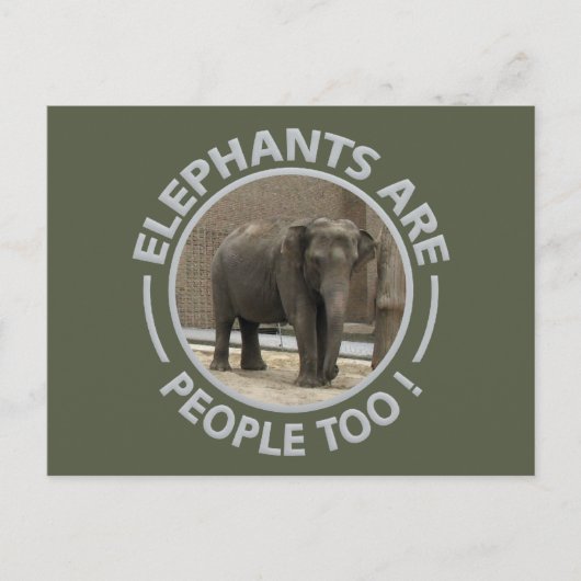 Carte postale ELEPHANTS (Devant)