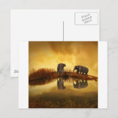 Carte Postale Eléphants (Devant / Derrière)