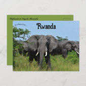 Carte Postale Éléphants à Kigali Rwanda (Devant / Derrière)