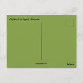 Carte Postale Éléphants à Kigali Rwanda (Dos)