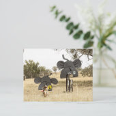 Carte Postale Eléphants à vélo (Debout devant)