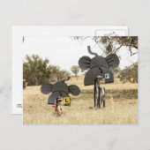 Carte Postale Eléphants à vélo (Devant / Derrière)