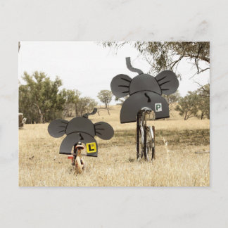 Carte Postale Eléphants à vélo