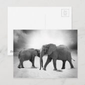Carte Postale Eléphants africains (Devant / Derrière)
