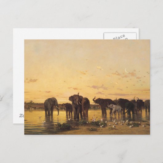 Carte Postale Eléphants africains (Devant / Derrière)